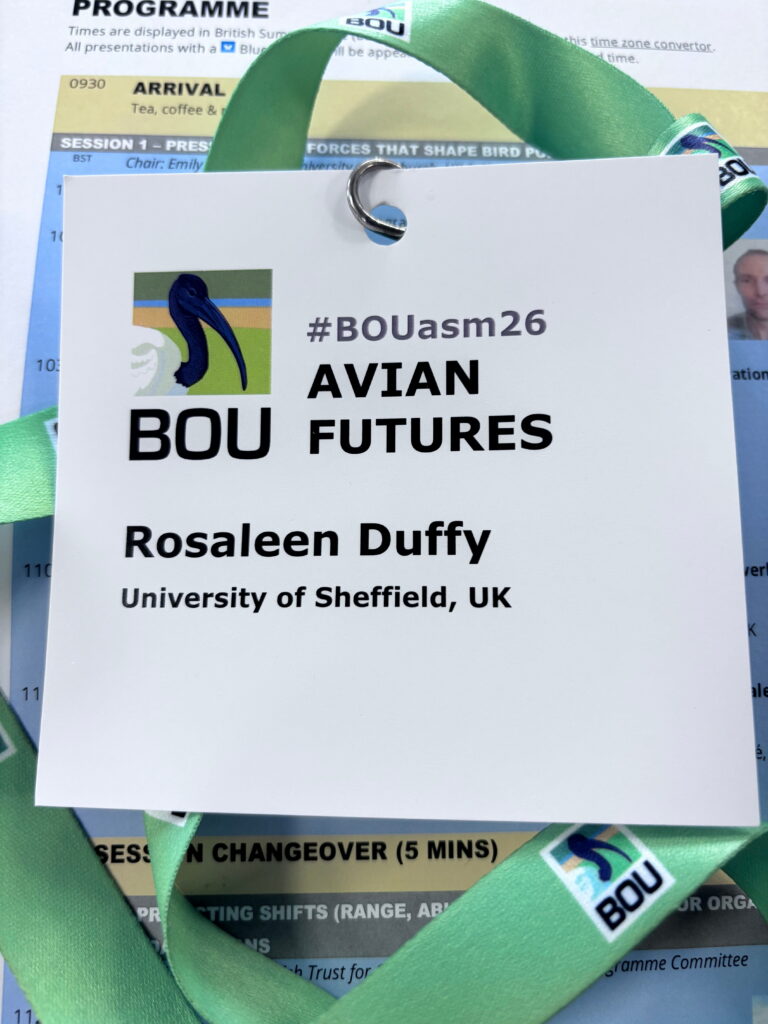 A conference lanyard name badge for Rosaleen Duffy from the University of Sheffield, UK, featuring the #BOUasm26 logo and title "AVIAN FUTURES", resting on a printed event programme schedule.