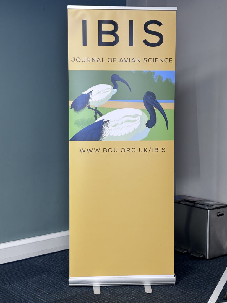 A vertical banner for "IBIS JOURNAL OF AVIAN SCIENCE" featuring an illustration of two ibises against a yellow background and the web address www.bou.org.uk/ibis.